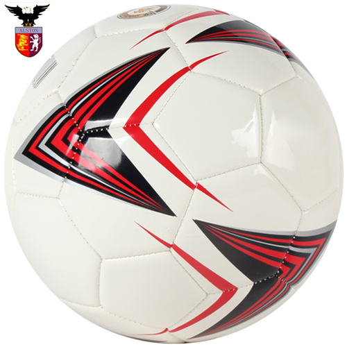 Soccer Ball